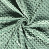 Minky fleece - Muntgroen 122