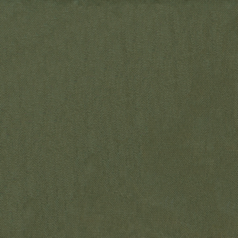 Washed canvas - Pine olive
