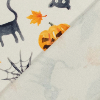 Canvas - Spoken halloween