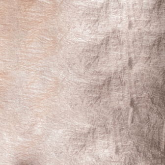 Polyester foil - Lichtroze 11