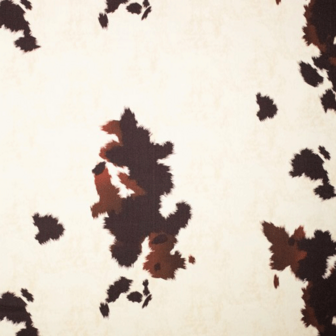 Canvas - Koe motief