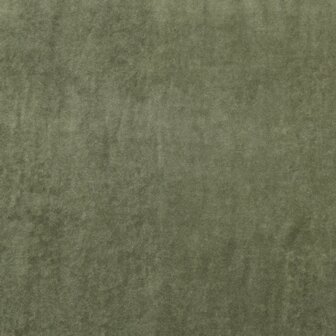 Nicky velours 2 - Mosgroen 39