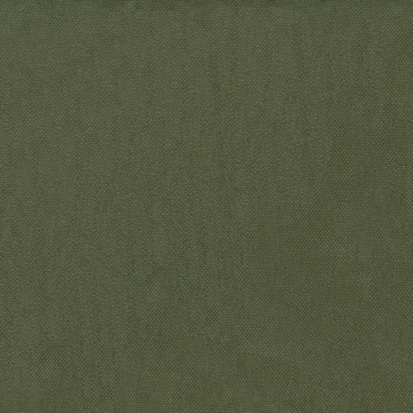 Washed canvas - Pine olive