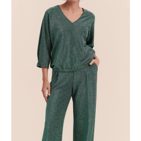 Coupon 200 - Glitterjersey Honduras groen FI