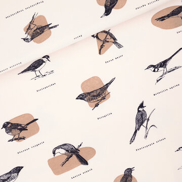 Coupon 90 / French terry - Playtime Ornithology