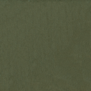 Washed canvas - Pine olive