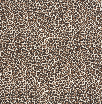 French terry - Leopard beige tint