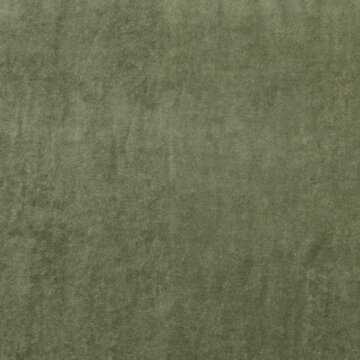 Nicky velours 2 - Mosgroen 39