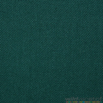 Canvas - Petrol groen 124