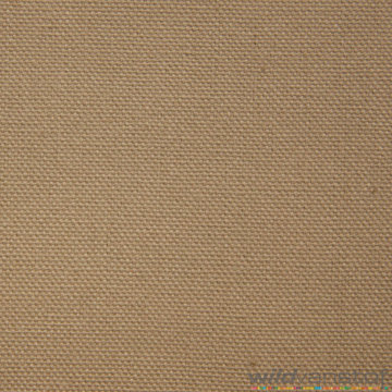 Canvas - Beige 153